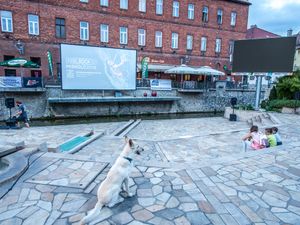 REEL ROCK 12 – CINEFEST  MISKOLC – 10